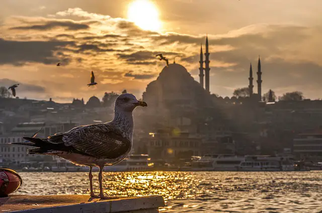 Istanbul party destination in Turkey