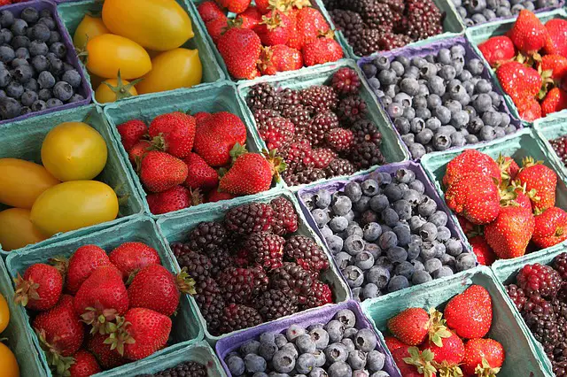 Montreal Market