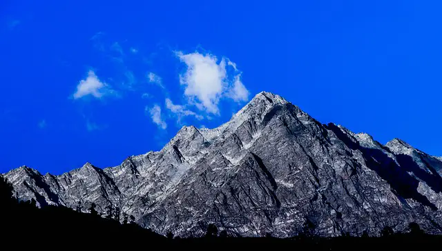 nature-dharamsala